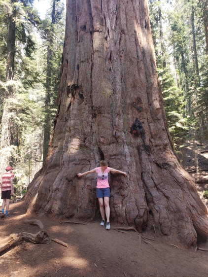 Stef. Sequoia national park